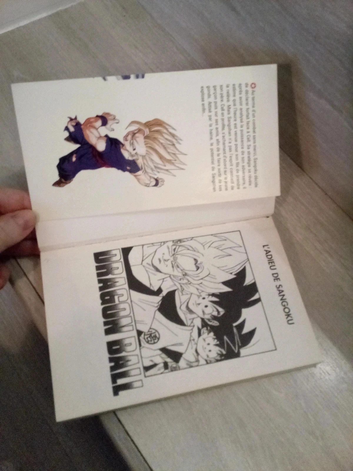 Dragon ball 35 édition pastel – photo 3